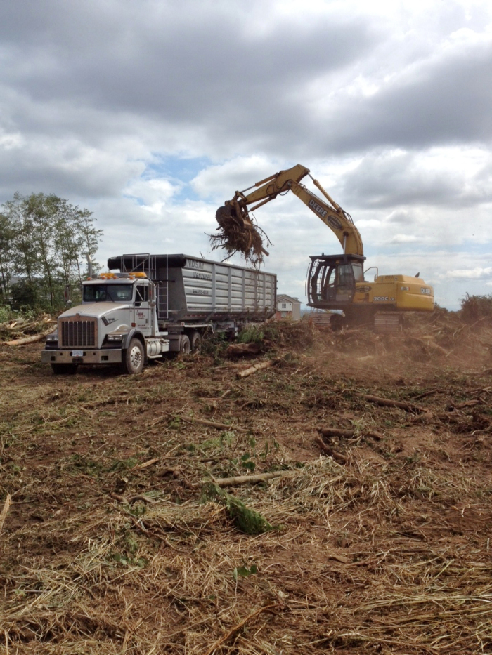 Land clearing in the Lower Mainland